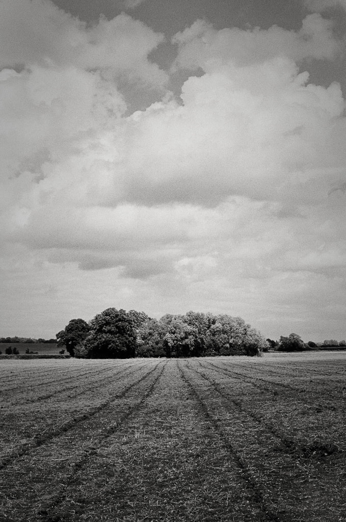 Wychavon Way, English countryside, film image, monochrome, Canon EOS3, Ilford HP.5 Plus 400