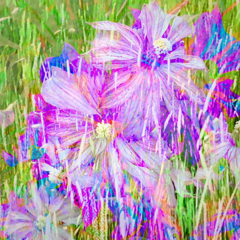 pink flowers, abstract, iPhone multiple exposure