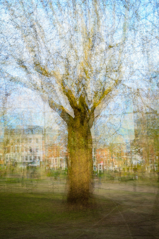 Abstract Tree, Birmingham, England