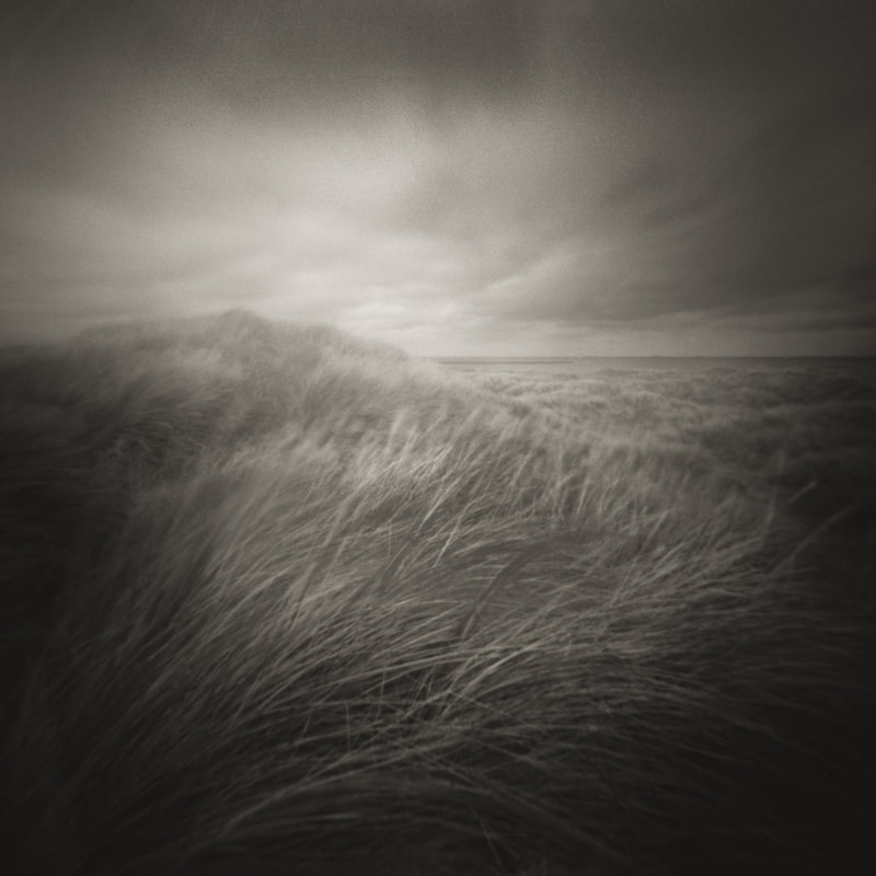 Windswept grasses, South Gare, North Yorkshire Coast, monochrome pinhole photograph, pentax 5645n