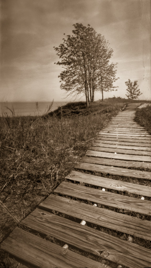 Andre Kohler State Park, Wisconsin, USA, abandoned custard stand, sepia pinhole photograph, RSS 6 x 12