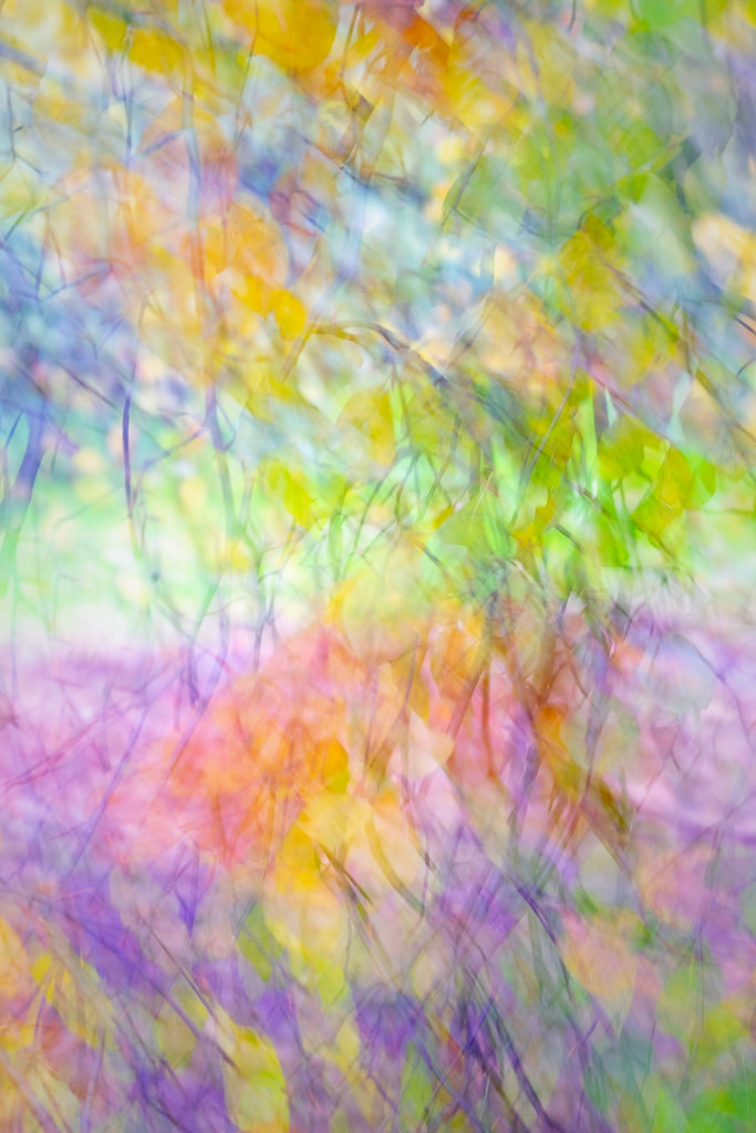 Abstract image of colourful leaves 3